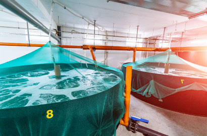 Water storage tanks